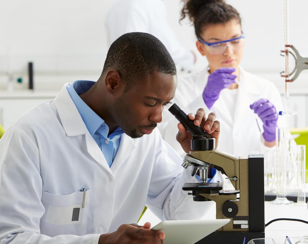 Capital equipment may include microscopes in an educational or lab setting.