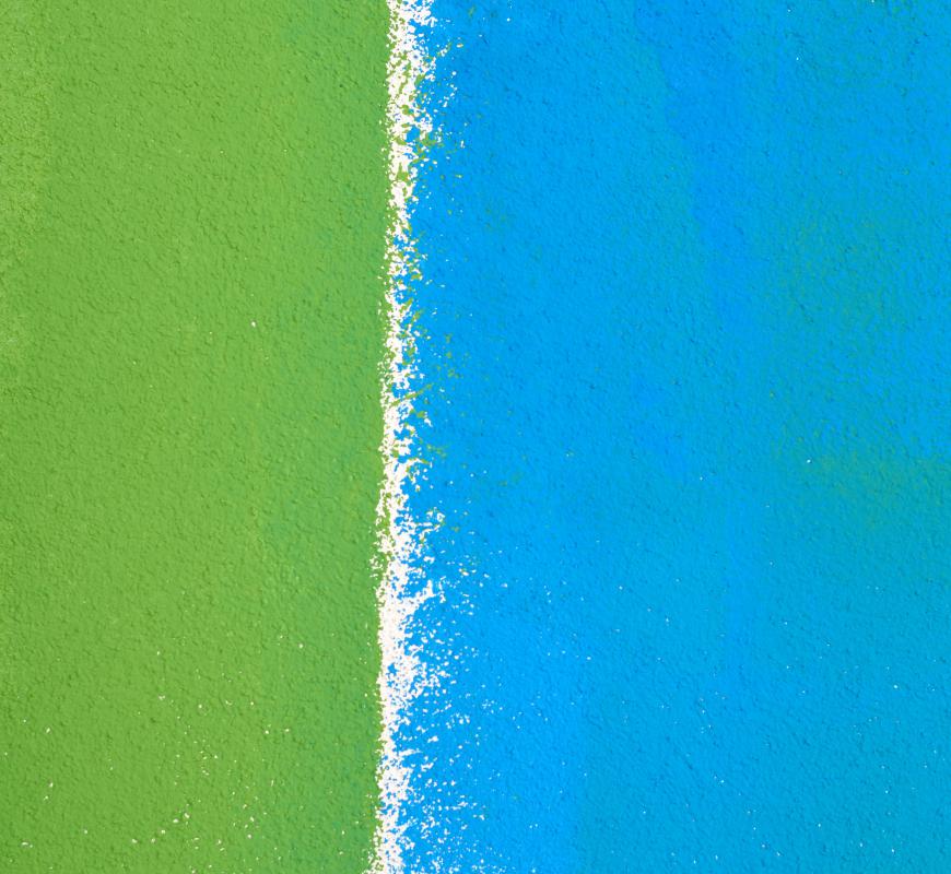 Blues and greens are considered to be some of the most relaxing colors.