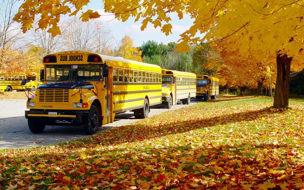 Public transportation often leads to a higher standard of living.