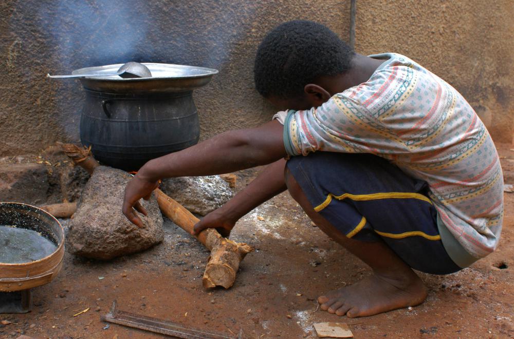 Many NGOs attempt to reduce poverty in developing nations.