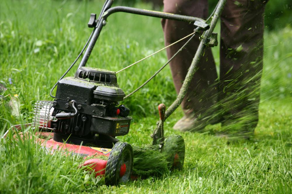 If a person is good at gardening, they can barter by offering their skills in exchange for something they need or want.