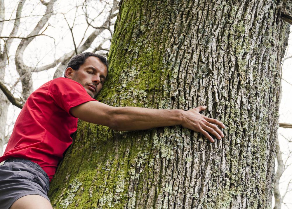 NGOs can be dedicated to preserving land, cleaning up environmental hazards or education.