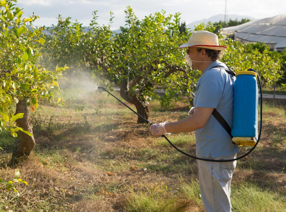 Applying methods of pest control are part of agricultural development.