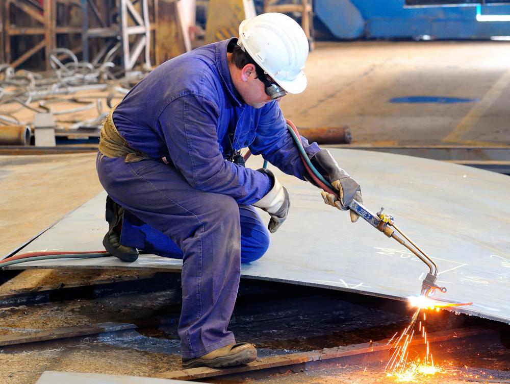 Governments with mixed economies often regulate workplace safety and mandate related training.
