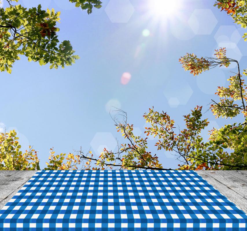 Office picnics may help establish a sense of camaraderie between employees.