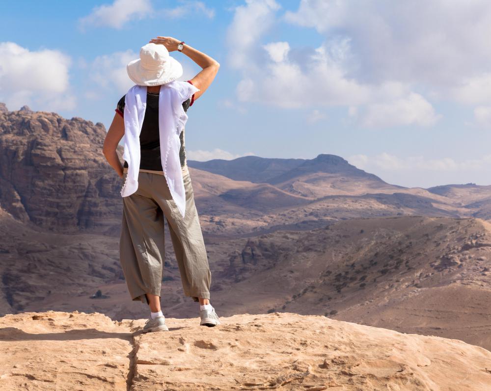 Money spent on travel is a type of discretionary income.