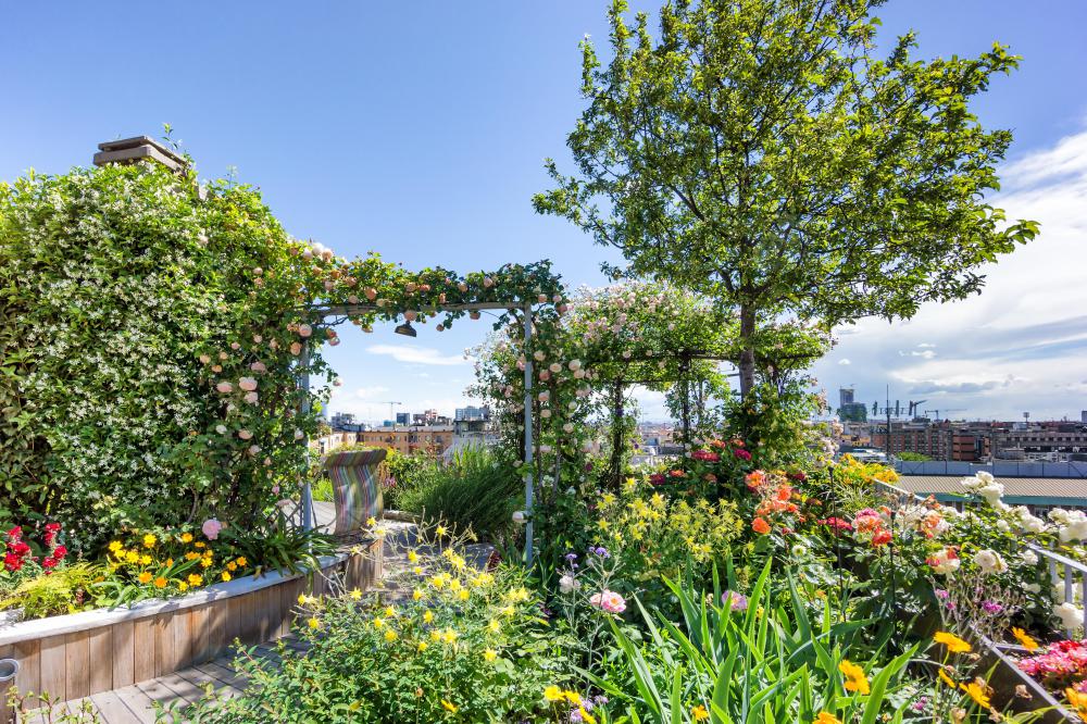 Rooftop gardens add to a city's sustainability.