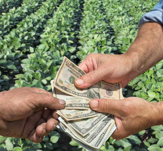 Farm subsidies encourage agricultural efforts.