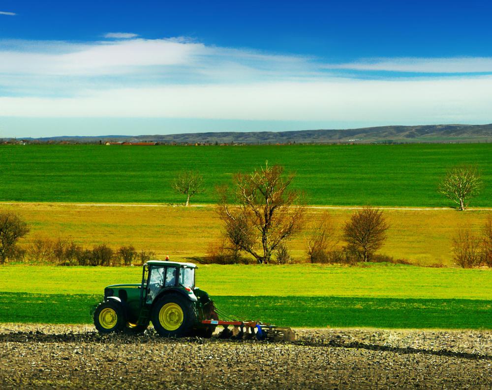 Some lenders who provide rural credit specialize in farm loans.