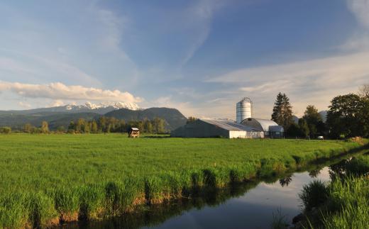 Water for irrigation can be taken from canals, rivers or lakes.