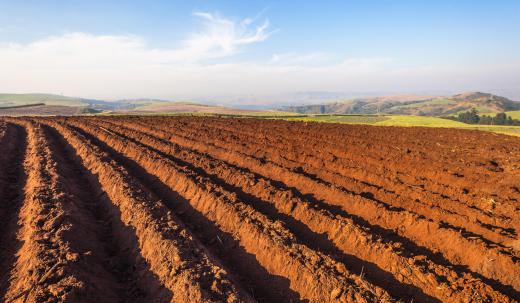 Good weather may produce more yield in crops that farmers' expect, creating supply shock.