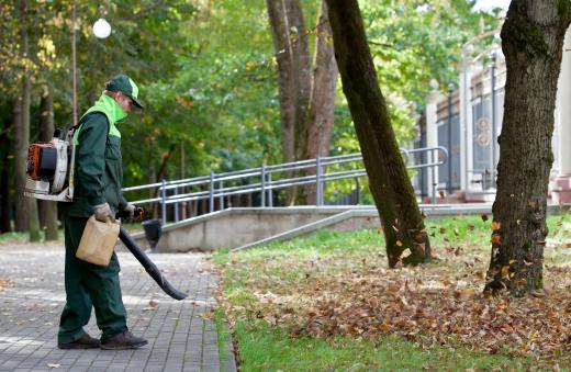 Lawn care is a form of service.