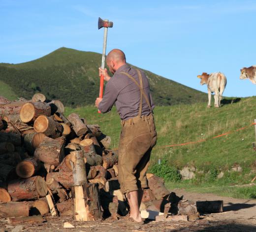 Intergenerational equity holds that the natural resources enjoyed by the current generation belong to the future as well.