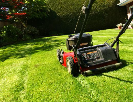 Usually, a child under a certain age can be paid "under the table" for a chore like lawn mowing.