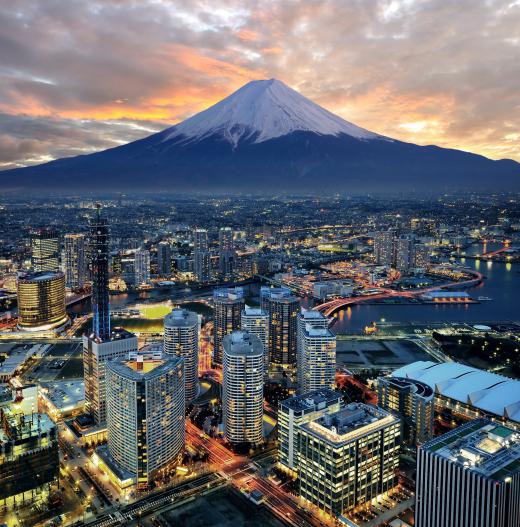 Tokyo is considered an example of a highly developed "Alpha City" because it offers higher education, connections to international destinations, a complex economy, and a modern infrastructure.